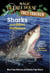 Sharks and Other Predators - A Nonfiction Companion to Magic Tree House Merlin Mission #25: Shadow of the Shark