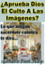¿Aprueba Dios El Culto A Las Imágenes?