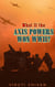 What If the Axis Powers Won WWII? - WHAT IF SERIES