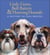Little Lions, Bull Baiters & Hunting Hounds - A History of Dog Breeds