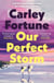 Our Perfect Storm - The #1 bestselling summer romance from the author behind Every Year After - the hit new TV series