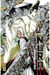 Nura le seigneur des yôkai - Tome 13