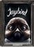 Jaybird