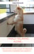 Finally relaxing alone... - The step-by-step guide to reduce your Dog's separation anxiety