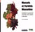 Muscats et variétés muscatées - Inventaire et synonymie universels, des origines à nos jours