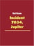 Incident 7834, Jupiter