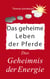 Das geheime Leben der Pferde - Das Geheimnis der Energie