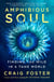 Amphibious Soul - Finding the Wild in a Tame World