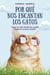 Por qué nos encantan los gatos - Todo lo que necesitas saber sobre tu amigo felino