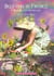 Believing In Faeries - A Manual for Grown Ups