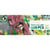 Owls and birds - Puzzle Gallery - 1000 pièces - Djeco