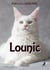 Lounic - Roman policier jeunesse