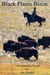 Black Plains Bison - A Kananaskis Novel