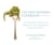 The New Seaweed Cookbook, Second Edition - Over 100 Gluten and Dairy Free Recipes for an Anti-Inflammatory, Nutrient Dense Diet