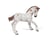 Figurine Papo - Poulain appaloosa brun