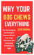 Why Your Dog Chews Everything: The Psychological and Biological Reasons Behind Your Dog’s Obsession With Destroying Everything in Sight