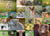 Puzzle 200 pièces XXL - Adorables bébés animaux - Ravensburger