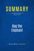 Summary: Bag the Elephant - Review and Analysis of Kaplan's Book