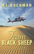 Team Black Sheep - The Night Stalkers CSAR, #7