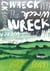 The Wreck - A stunning new illustrated novel from the prize-winning author of Alison