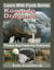 Komodo Dragons Photos and Facts for Everyone - Learn With Facts Series, #51