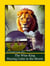 The Wise King, Staying Calm In The Storm - The Mindful Jungle Tales
