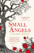 Small Angels - 'A twisting gothic tale of darkness, intrigue, heartbreak and revenge' Jennifer Saint