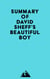 Summary of David Sheff's Beautiful Boy