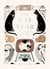 The Cat Year - Cats, Magic, Nature and Spells