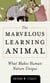 Marvelous Learning Animal - What Makes Human Behavior Unique