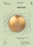 Douleur - Acupuncture