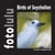 Birds of Seychellen - fotolulus Bildband XII