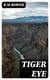 Tiger Eye