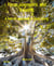 Focus, Alignment, and Balance. - A holistic approach in daily living.