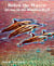 Below the Waves: Diving on the Hawaiian Reef - Art Deco