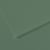 Feuille MI-TEINTES® Canson - 50 x 65 cm - 160g/m² - Sauge