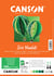 Iris Vivaldi - Canson- Papier dessin - A4 - 25 feuilles - crème/vert/marron - 185g/m²
