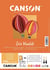 CANSON Iris Vivaldi - Papier dessin - A4 - 25 feuilles - jaune/rose/rouge - 240g/m²