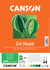 Iris® Vivaldi® - Canson - Papier dessin - A4 - 25 feuilles - crème/vert/marron - 240g/m²