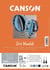 CANSON Iris Vivaldi - Papier dessin - A4 - 25 feuilles - gris - 240g/m²