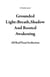 Grounded Light:Breath,Shadow And Rooted Awakening - 11 book series