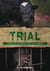 Trial - Search for Truth Series, #3