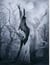 Amongst the oaks: A night terror - Horror, #2
