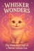 Whisker Wonders: The Purr-fect Tail of a Meow-velous Cat