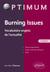 Burning Issues - Vocabulaire anglais de l'actualité