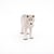 Figurine Papo - Loup polaire