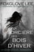 La sorcière des bois d'hiver - Histoires de fantômes gays, #1