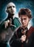 Puzzle 500 pièces - Harry Potter