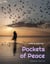 Pockets Of Peace - Pockets Of, #1