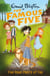 Five Have Plenty Of Fun - Book 14